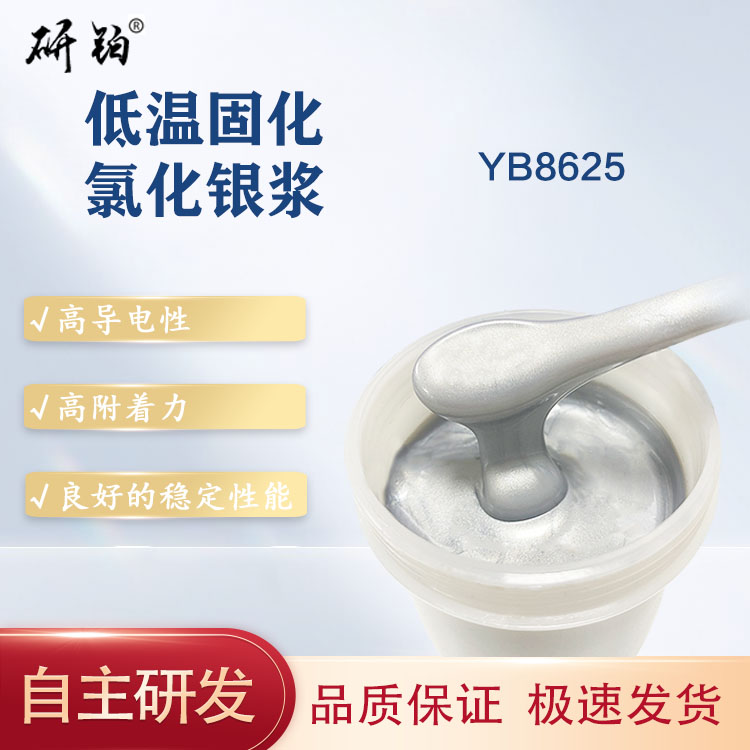 Low temperature curing silver chloride paste